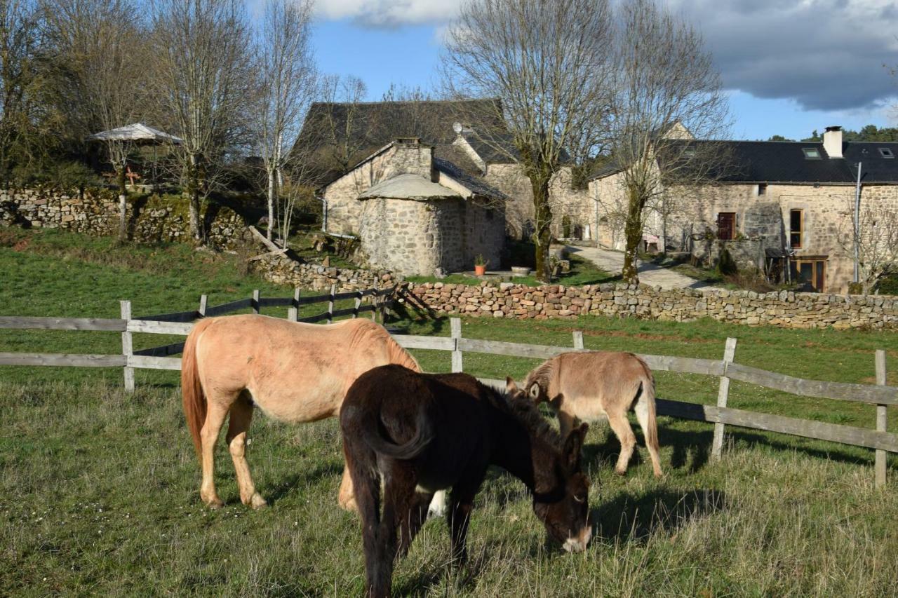 Saint-Léons Mas De La Boheme - L'Hermet Bed & Breakfast エクステリア 写真